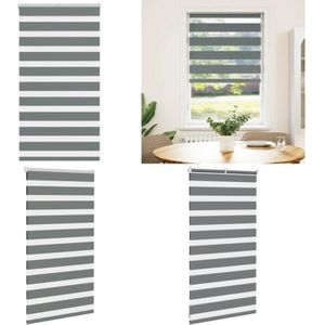 Vidaxl - Zebrarollo Dunkelgrau 80x100 cm Stoffbreite 75,9 cm Polyester