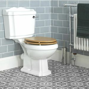 Traditionelle Toilette mit Toilettenbrille und Spülkasten