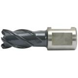 Kernbohrer HSS-Co rqx 21/30mm Alfra