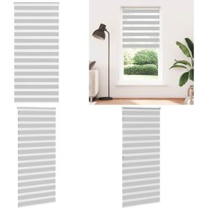 Vidaxl - Zebrarollo Hellgrau 100x200 cm Stoffbreite 95,9 cm Polyester