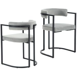 Wahson Office Chairs - Esszimmerstühle für Küche aus Samt mit Metallbeinen Grau 2er Set Wahson