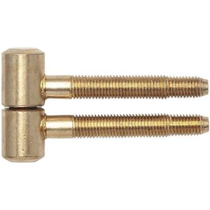 Einbohrband für Futtertüren, 16 mm, Stahl vermessingt - SFS