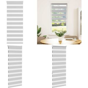 Vidaxl - Zebrarollo Hellgrau 65x150 cm Stoffbreite 60,9 cm Polyester