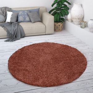 Paco Home - Hochflor Teppich, Weicher Moderner Wohnzimmer Shaggy in Flokati Optik, Einfarbig ø 120 cm Rund, Rost 1