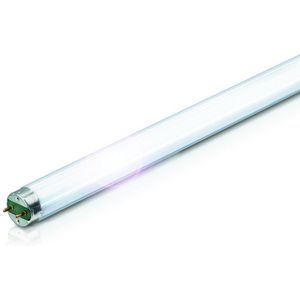 Philips - Leuchtstoffröhre master tl-d Super 80 - T8, 830 Warmweiß - 38W (1047mm)