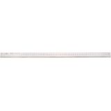 HELIOS PREISSER Werkstatt-Maßstab D866B 1000 x 30 x 6 mm INOX HP