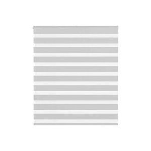 Vidaxl - Zebrarollo Hellgrau 130x100 cm Stoffbreite 125,9 cm Polyester