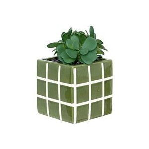 Kunstpflanze Family corner Keramiktopf H17cm - Grün