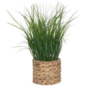 Künstliche Pflanze Topf aus Wasserhyazinthe - H.70 cm Atmosphera Créateur D'intérieur