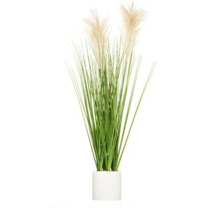 Kunstpflanze Plumeau Zementtopf H70cm - Beige