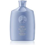 Oribe Supershine Run-Through Detangling Shampoo (250 ml)