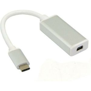USB 3.1 USB-C Male to Mini Displayport Female Adapter, Silver 10cm