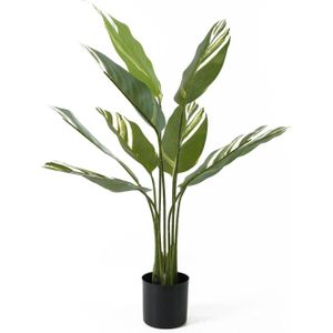 Kunstplant Calathea - Groen - 63x63x90cm