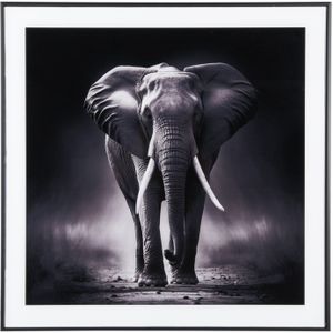 Wanddecoratie Elephant - Zwart - 2x50x50cm