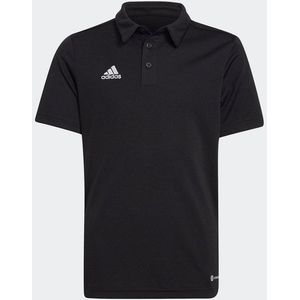 adidas Performance Poloshirt ENT22 POLO Y