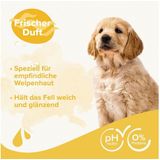 beaphar Tiershampoo Shampoo für Welpen 250 ml