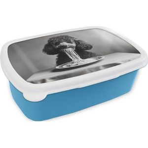 MuchoWow Lunchbox Pudel - Hund - Schwarz - Weiß - Niedlich - Nudeln, Kunststoff, (2-tlg), Brotdose, Lunchbox, Brotbox für Kinder und Erwachsene