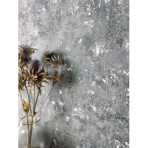 Newroom Vliestapete, Grau Tapete Modern Beton - Betonwand Glanztapete Dunkelgrau Silber Industrial Glamour Zement Metallic für Wohnzimmer Schlafzimmer Küche