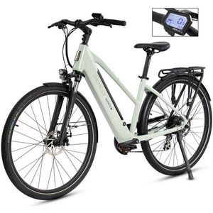 DERUIZ E-Bike Cityrad DERUIZ E-bike Quatrz-M 28 Zoll, leichtes City Pedelec 23.5kg, Shimano, Kettenschaltung, Heckmotor, 483 Wh, Elektrofahrrad mit Trapez-Rahmen und mechanische Scheibenbremse