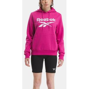 Reebok Kapuzensweatshirt