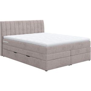 COTTA Boxspringbett Shark inkl. Bettkasten und Topper, erhältlich in den Breiten 140x200cm, 160x200cm und 180x200cm