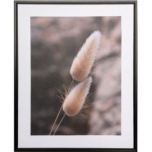 Creativ home Bild mit Rahmen Leinwandbild Grasblüte, (1 St), mit Rahmen
