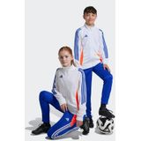adidas Performance Trainingshose TIRO24 TRPNT SY (1-tlg)