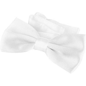 DonDon Fliege DonDon Edle Fliege Schleife glänzend (Packung, 1-St) bereits gebunden, verstellbar, Seidenlook