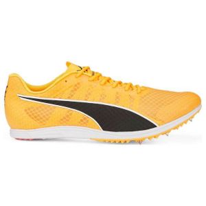 PUMA Evospeed Distance 11 - Spikeschuh Laufschuh