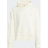 adidas Originals Kapuzensweatshirt HOODIE