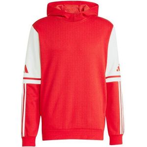 adidas Performance Sweatshirt adidas Performance Squadra 25 Hoody Herren Baumwolle