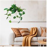 Kunstpflanze Kunstpflanze MONSTERA CLIMB Kunststoff Monstera, hjh OFFICE, Höhe 100.0 cm, Künstliche Hängepflanze Monstera im Topf, Deko Pflanze Fensterblatt