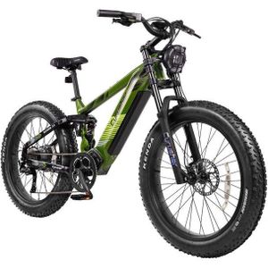 DOTMALL E-Bike E Bike 27.5 Zoll Cyrusher 250W 52V 20Ah Mountain/City bike