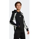 adidas Sportswear Kapuzensweatshirt J CB FL HD