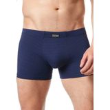Bruno Banani Retro Pants mit elastischem Bund