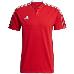 adidas Performance T-Shirt adidas Performance Tiro 21 COACH Poloshirt Polos Baumwolle