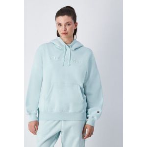 Champion Kapuzensweatshirt