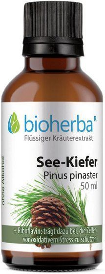BIOHERBA R See-Kiefer Pinus pinaster Tropfen Tinktur 50 ml TINKTUREN