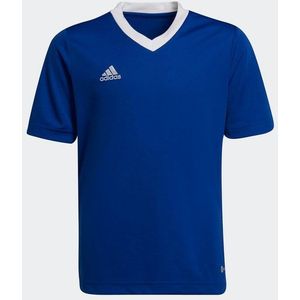 adidas Performance Fußballtrikot ENT22 JSY Y