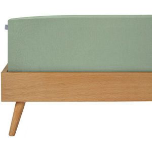 Schiesser Spannbettlaken Elli aus 97% Baumwolle und 3% Elasthan, Jersey-Elasthan, Gummizug: rundum, (1 Stück), für hohe Matratzen und Boxspringbetten, MADE IN GREEN by OEKO-TEX®