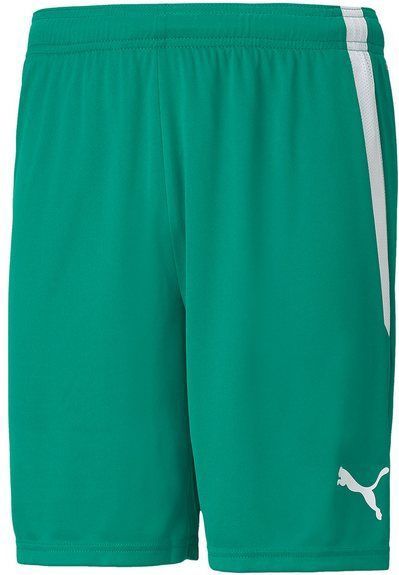 PUMA Sporthose PUMA teamLIGA Short Shorts Herren