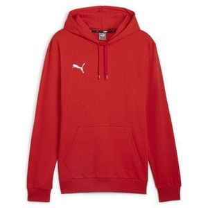 PUMA Trainingskapuzenpullover teamGOAL Casuals Hoody