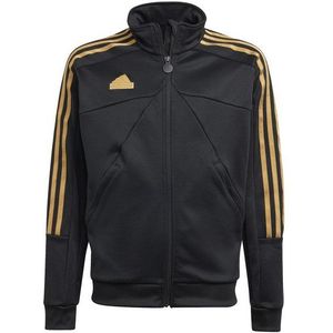 adidas Performance Trainingsjacke adidas Kinder Trainingsjacke J NP TTOP