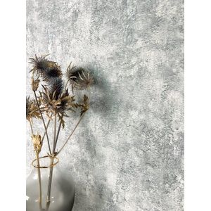 Newroom Vliestapete, Grau Tapete Modern Beton - Betontapete Naturstein Hellgrau Silber Industrial Loft Putz Lava für Wohnzimmer Schlafzimmer Küche