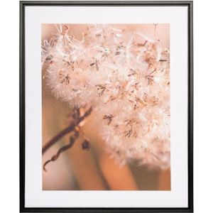 Creativ home Bild mit Rahmen Leinwandbild Pusteblume, (1 St), mit Rahmen