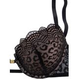 JETTE Push-up-BH mit aufregender Leo-Spitze, sexy Dessous