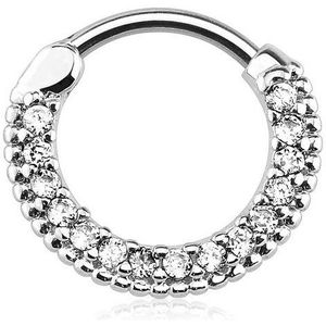 Taffstyle Nasenpiercing Piercing Ring Schild Clicker mit Glitzer Stein, Ring Ohr Nase Lippe Brust Intim Nasenpiercing Nasenring Ohrpiercing