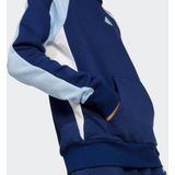 adidas Sportswear Kapuzensweatshirt J CB FL HD