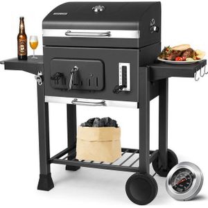 TLGREEN Holzkohlegrill Grillwagen XXL, kohlegrill groß, BBQ Grill für camping