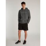 Tommy Jeans Plus Hoodie TJM REG LINEAR LOGO HOODIE EXT in Große Größen, Logodruck
